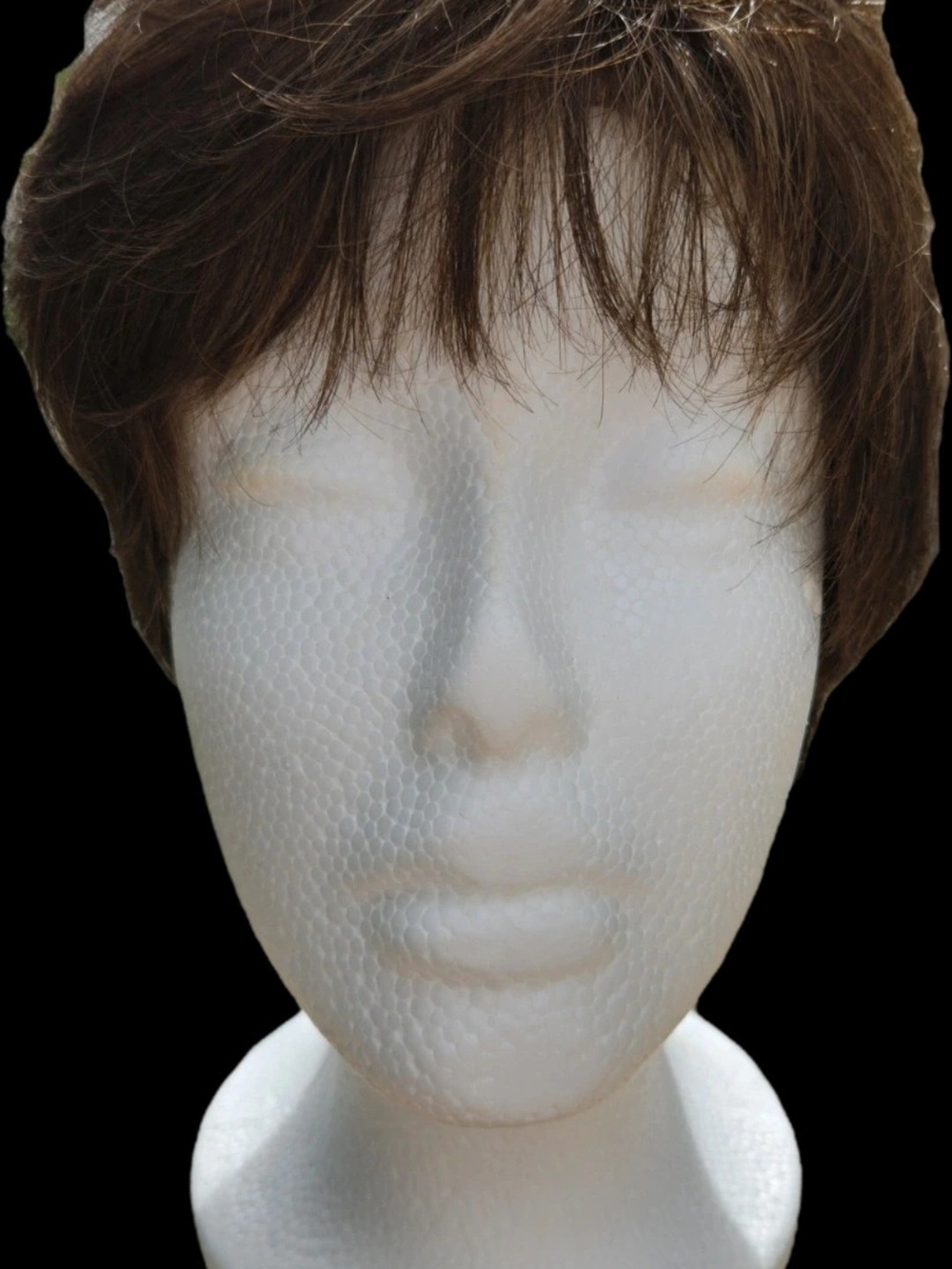 Paula Young Short Brown Women's Layered Wig